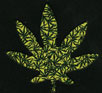 Cannabis: Blatt